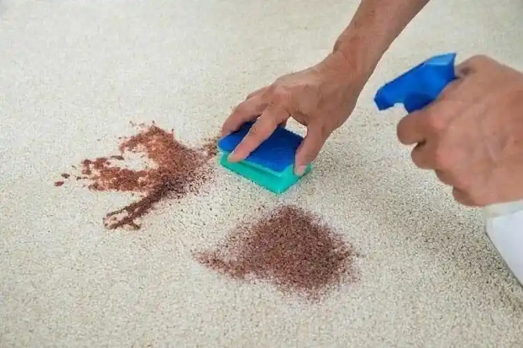 مراحل شستشوی لکه شکلات از روی فرش